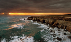 世贸通:塞浦路斯经济增