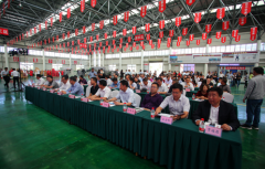 潘苹果持续发力,2017新